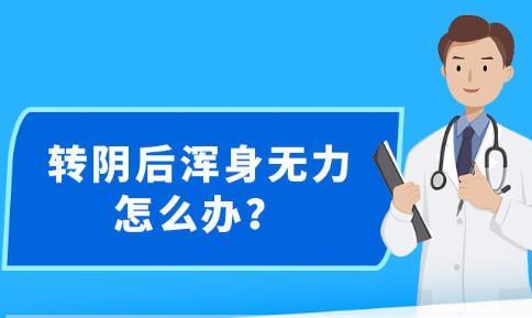 新澳精准资料免费提供265期|大众推荐,精准有效