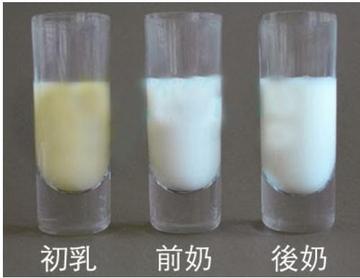 孕妇乳房变化与孕期乳汁分泌，揭秘孕期乳房有水的奥秘