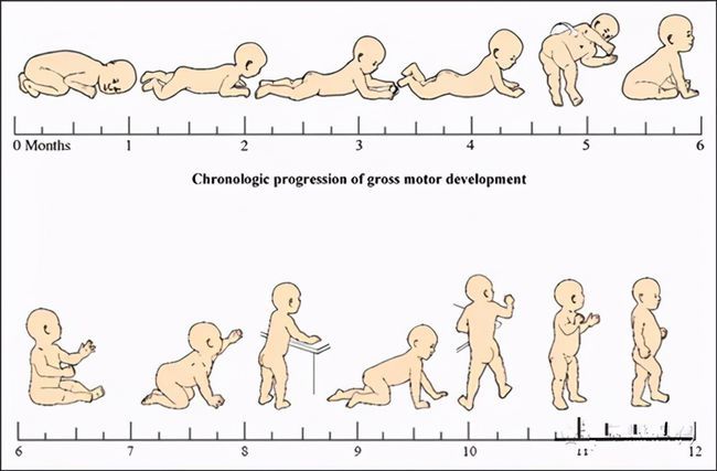 4个月宝宝不会翻身，探索早期发展里程碑与家长的应对策略