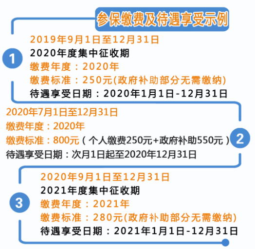 广东省医保缴纳指南，如何顺利缴纳医保并享受相关福利