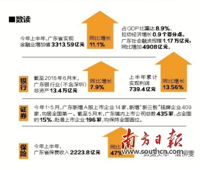 广东省金融数据深度解析