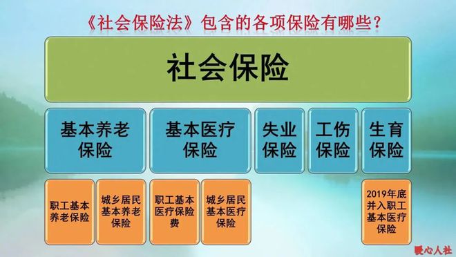 社保每个月领多少钱，深度解析与预测未来趋势