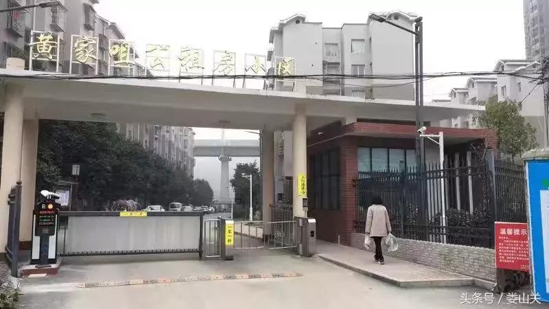 广东省云浮市蟠龙华庭，探寻一处独特的人间仙境