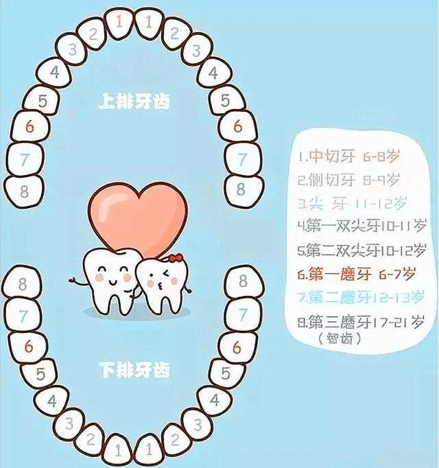 宝宝六个月了还没长牙，探寻原因与应对策略