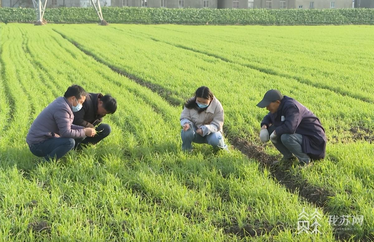 江苏理真智能科技，引领智能科技的先锋力量