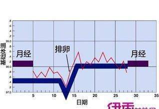 怀孕周期中的时间转换，关于怀孕19周相当于几个月的探讨