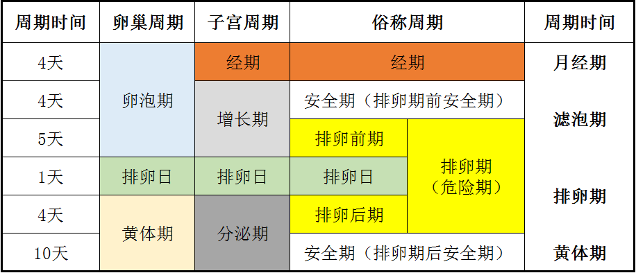 揭秘女性生理周期，一个月哪几天是排卵期？