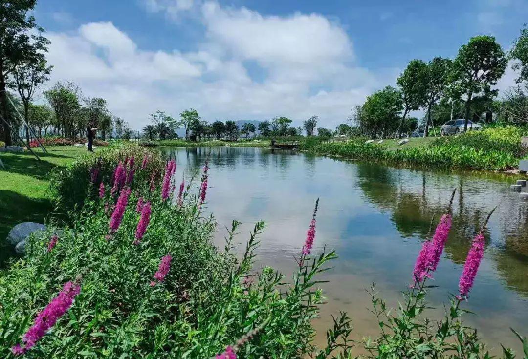 广东省补充耕地后续管护，保障粮食安全与土地可持续发展的重要举措